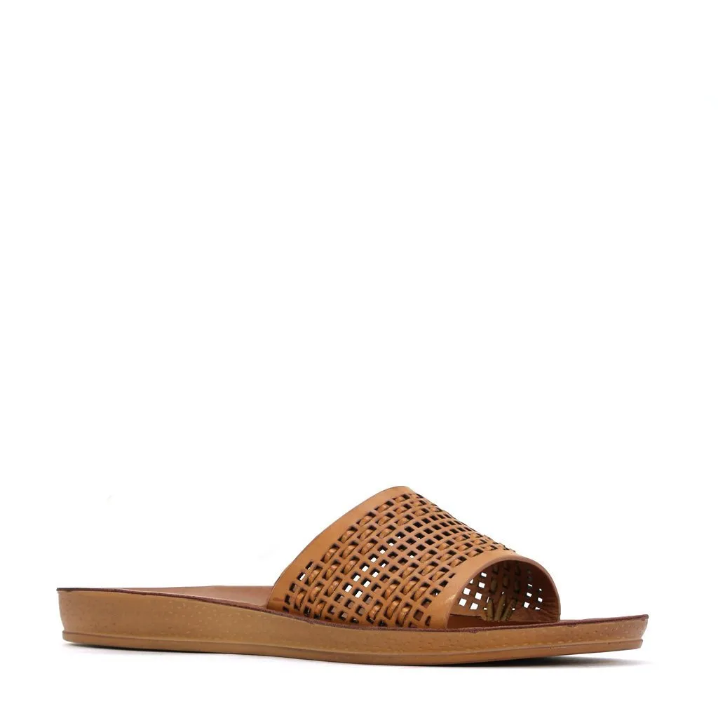 Conny  Slides