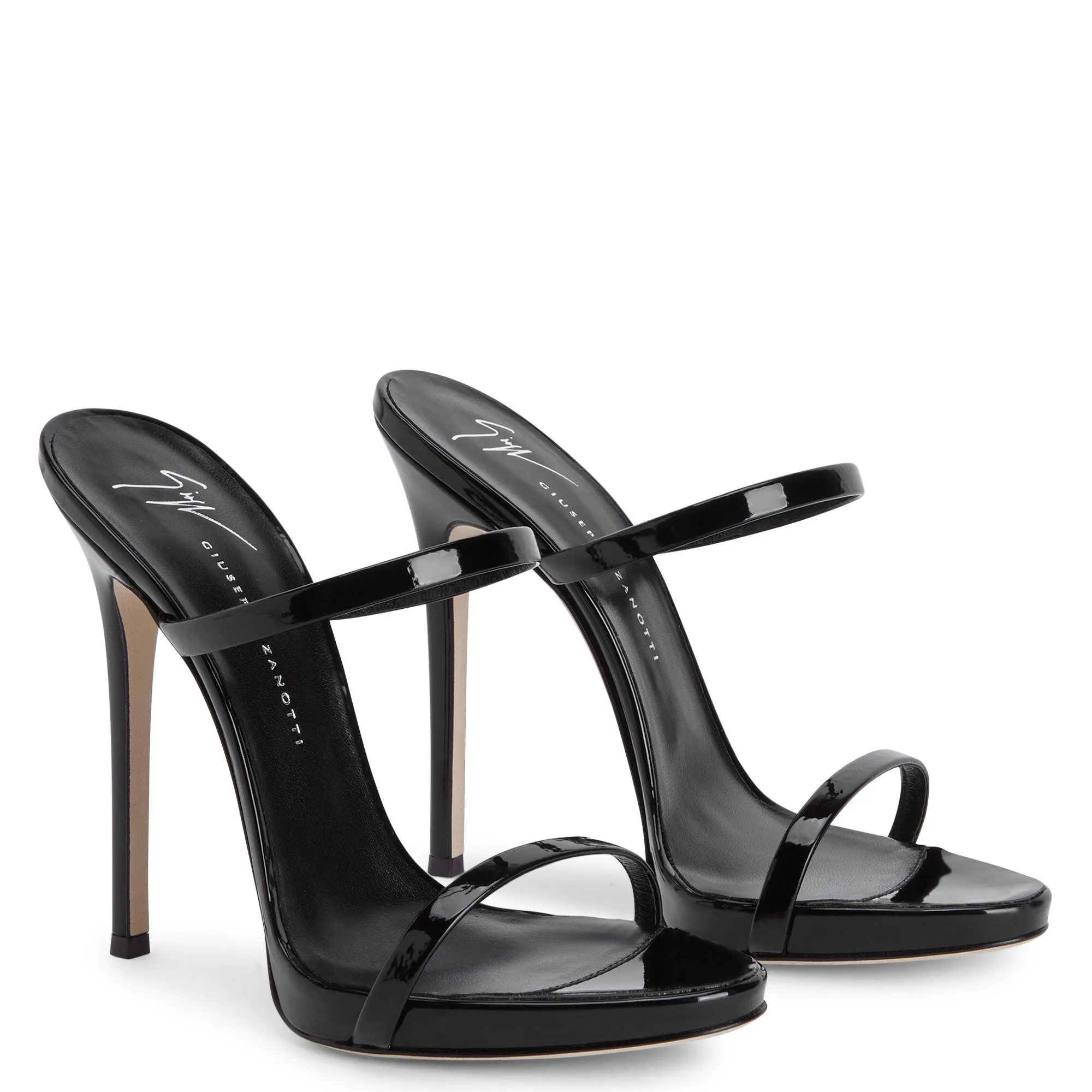 Giuseppe Zanotti Darsey