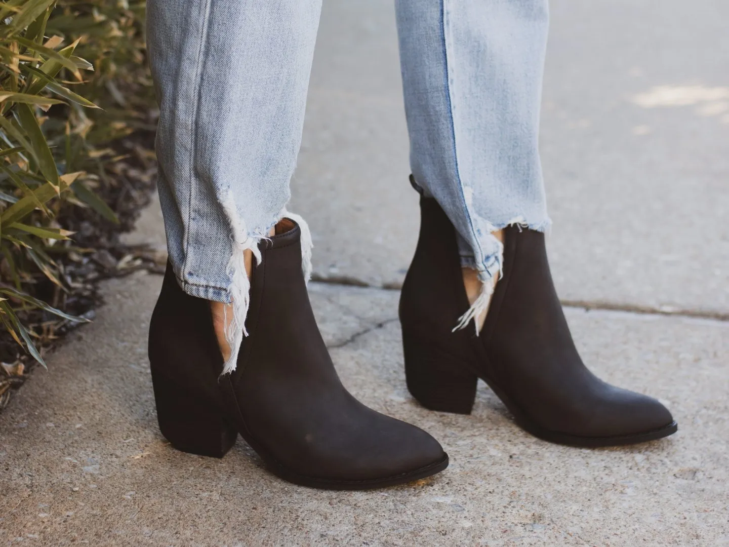 Jeffrey Campbell: Orwell